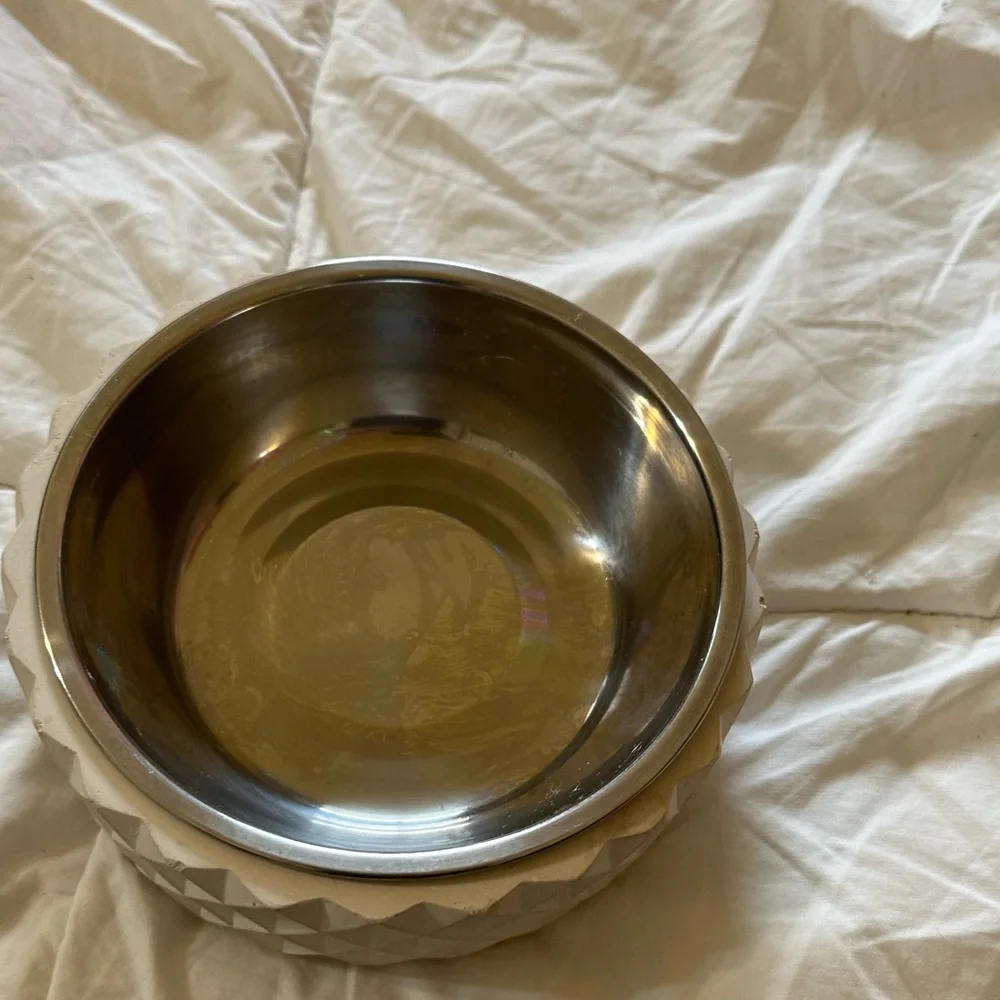 Boots & Barkley Small Pet Bowl, Concrete Outer Bowl with Stainless Steel Bowl